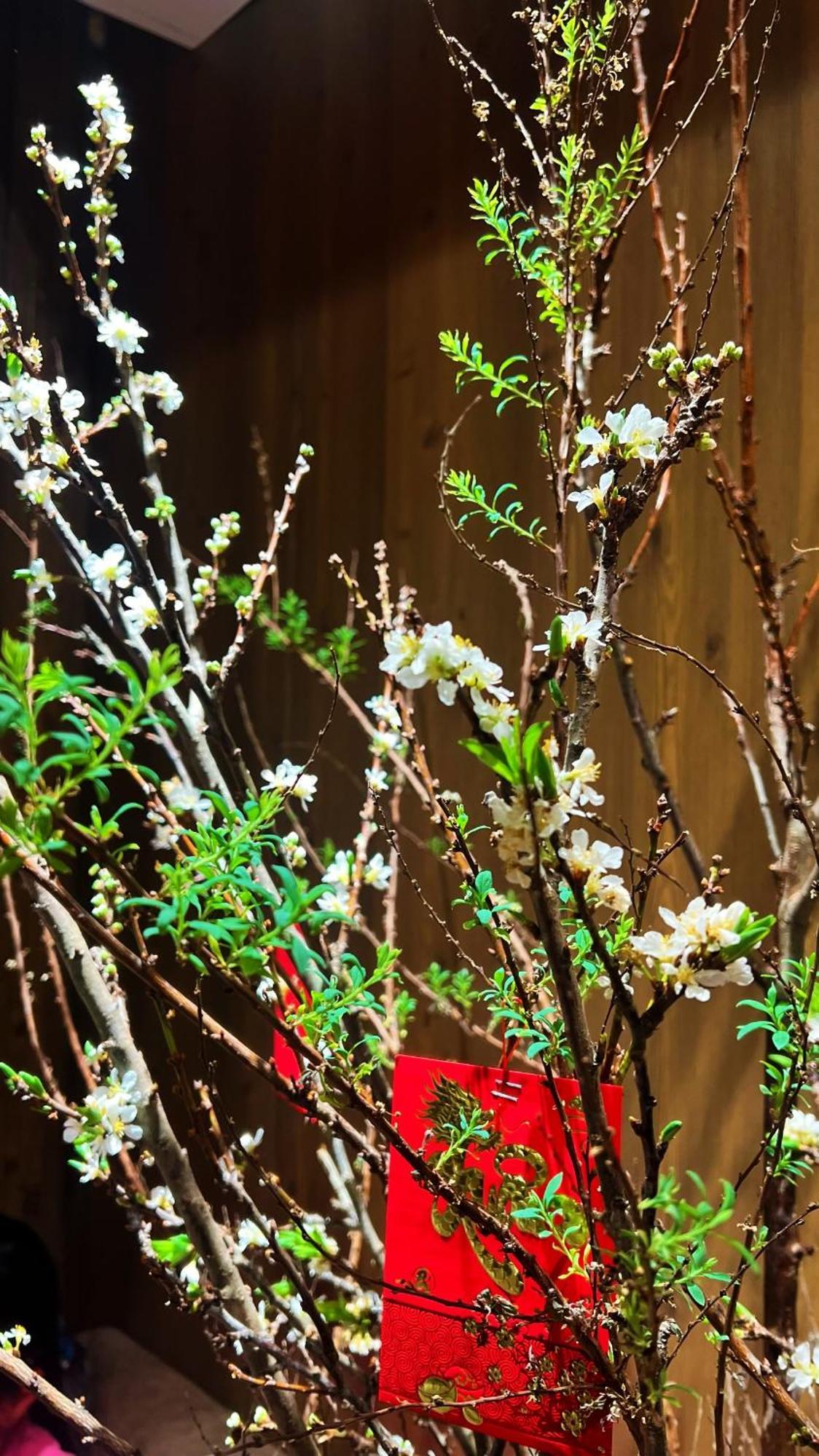 Rosa Zen Hotel Spa Ho Chi Minh-byen Eksteriør bilde